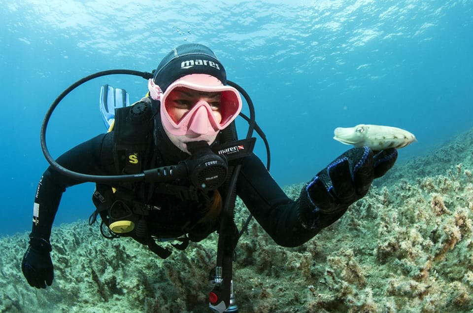 Malta: 1-Day PADI Scuba Diver Certification Beginner Course - Key Points