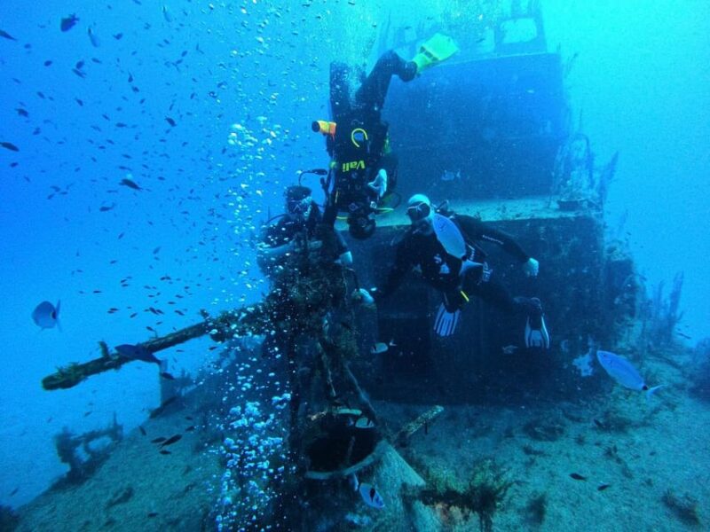 Malta: 2 Guided Dives for Certified Divers With Diving Gear - Professional Guidance