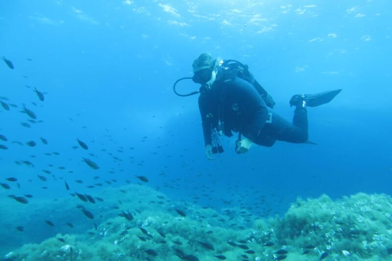 Malta: 2 Scuba Fun Dives for Certified Divers - Good To Know