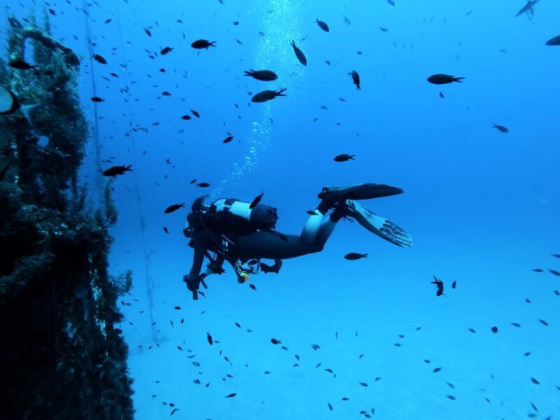 Malta: 2 Scuba Fun Dives for Certified Divers - Pricing Details