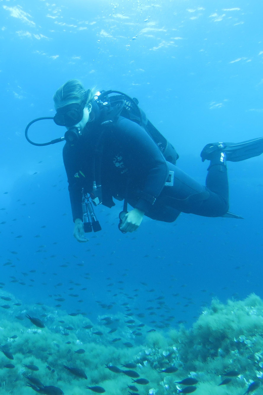 Malta: 2 Scuba Fun Dives for Certified Divers - Customer Feedback and Ratings