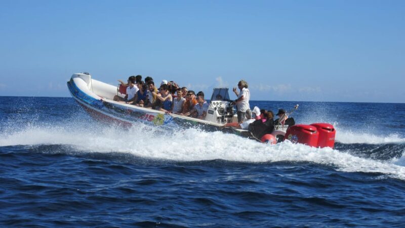 Malta: Blue Lagoon and Comino Caves Speedboat Tour - Practical Tips for Travelers  