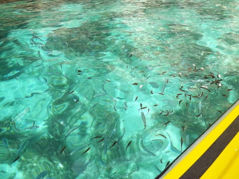 Malta: Blue Lagoon, Crystal Lagoon & Caves Private Speedboat - Authentic Experiences Shared by Travelers