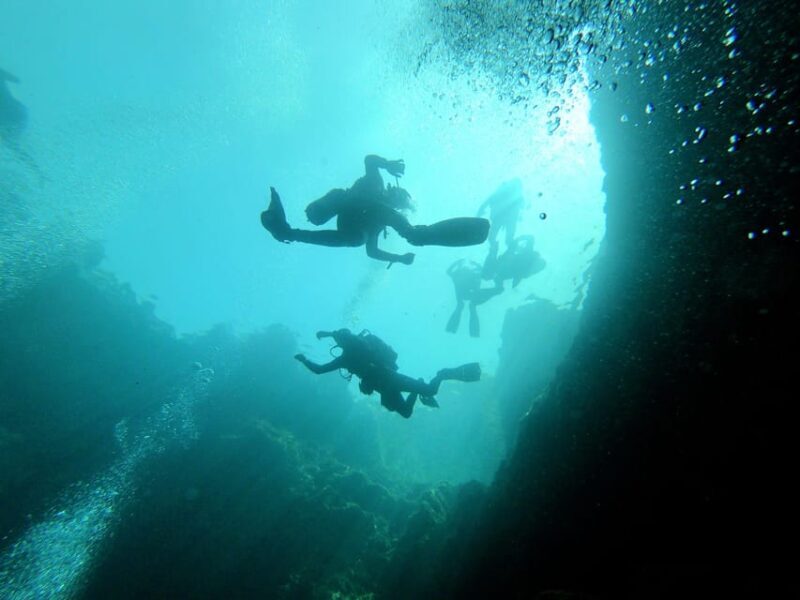 Malta: Boat Dive Trip for Certified Divers - Key Points