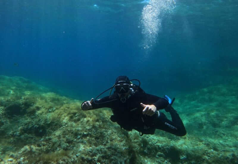 Malta: Boat Dive Trip for Certified Divers - An In-Depth Look at Maltas Boat Dive Experience