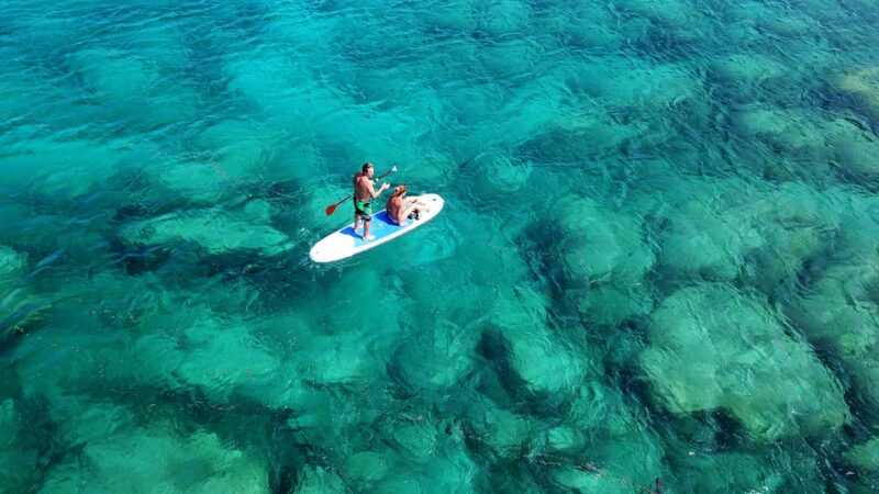 Malta: Guided SUP Tour - Good To Know