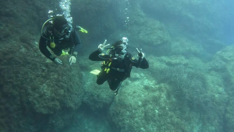 Malta: PADI Discover Scuba Diving Experience - Key Points