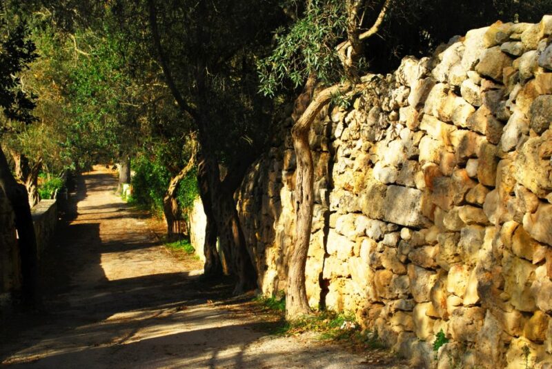 Malta: Scenic Tour by Vintage Bus Including Palazzo Falson - Detailed Itinerary