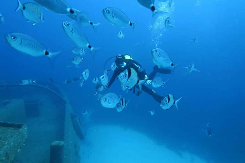 Malta: Scuba Diving Experience for Beginners w/certificate - Key Points