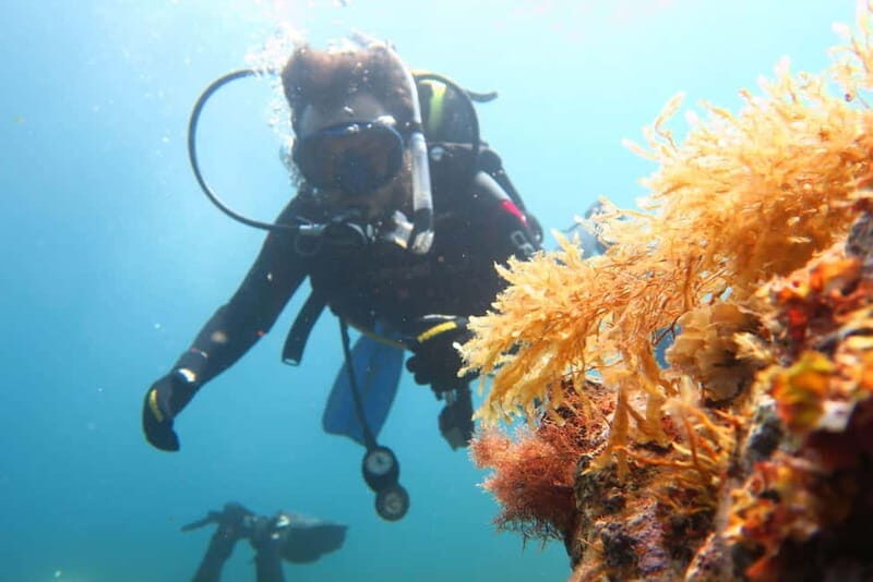 Malta: Scuba Diving Experience for Beginners w/certificate - What’s Included and What to Consider