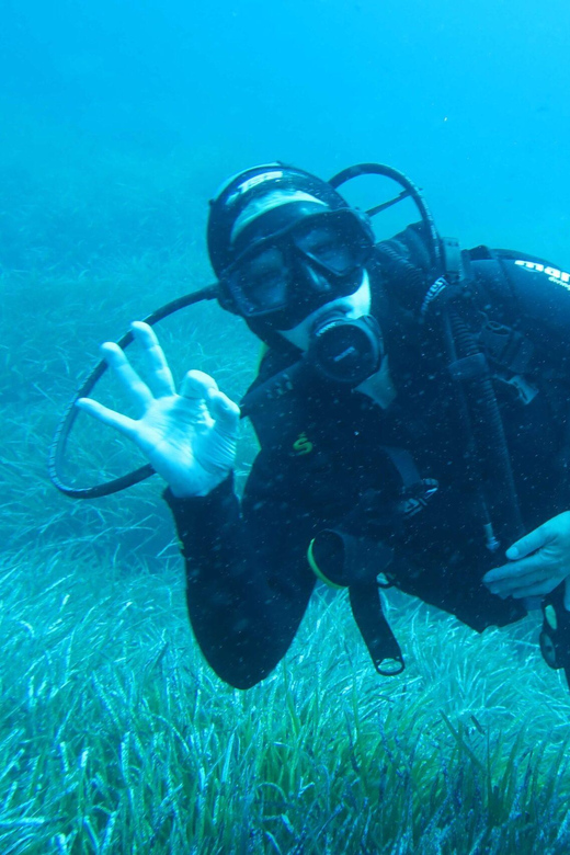 Malta: Scuba Diving Experience for Beginners W/Certificate - Dive Experience Highlights