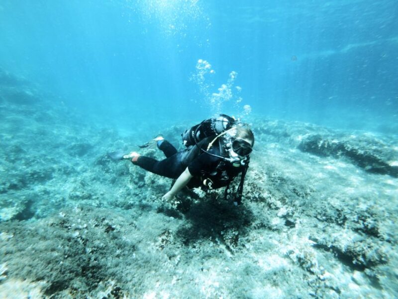 Malta: Scuba Diving Lesson & Guided Excursion - Activity Overview