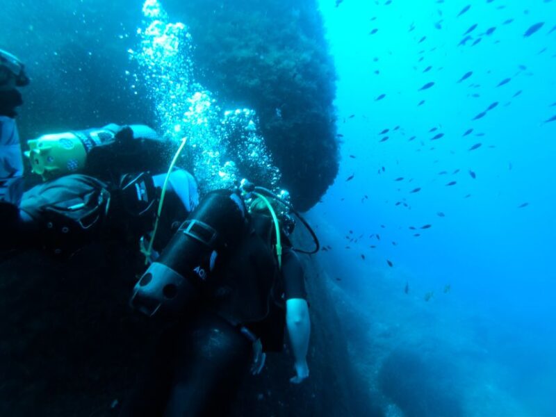 Malta: Scuba Diving Lesson & Guided Excursion - Health and Safety Guidelines