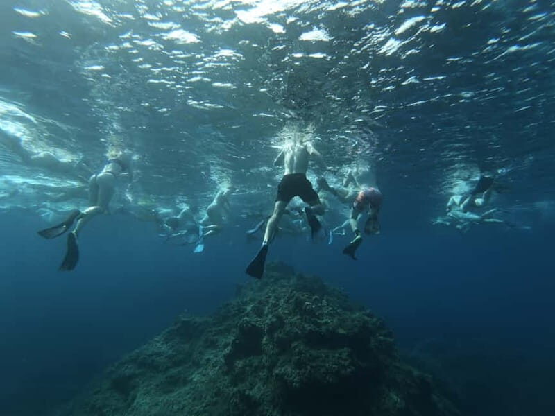 Malta: Snorkeling Tour - The Experience Beyond the Water