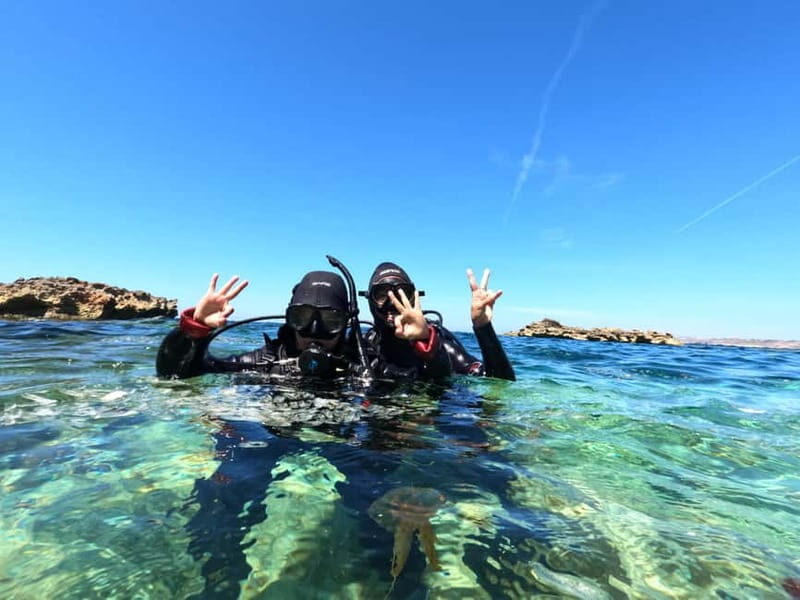 Malta: St. Paul's Bay 1 Day Scuba Diving Course - Key Points