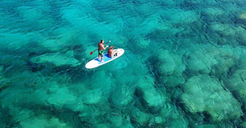 Malta: SUP Rental - A Deep Dive into the SUP Rental Experience