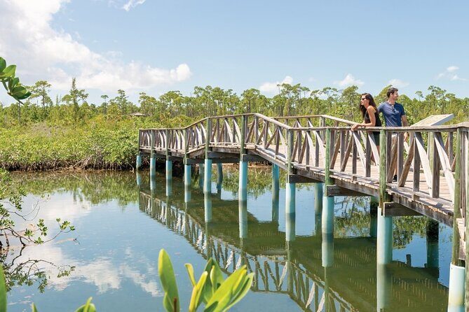 Mamma Gal Celeb-Key Native Exp. Shared Tour - Exploring the Itinerary: What to Expect