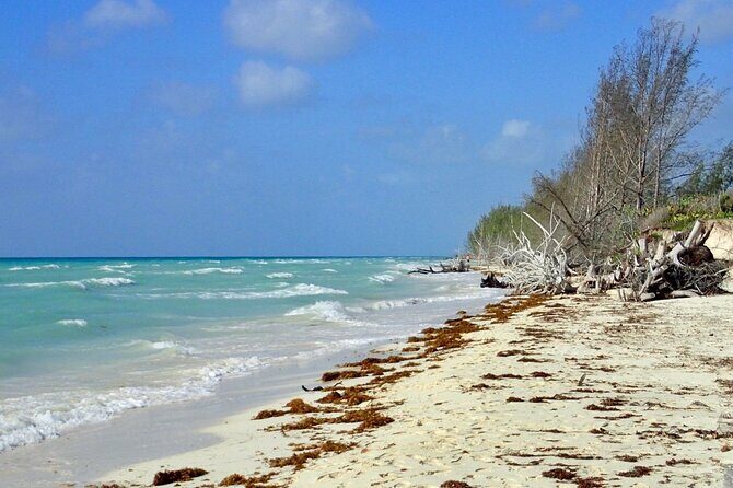 Mamma Gal Celeb-Key Native Exp. Shared Tour - FAQ