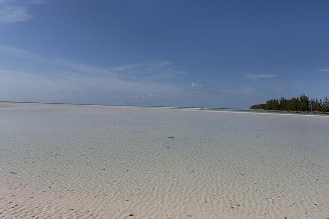 Mamma Gal East End Native Experience - The Sum Up