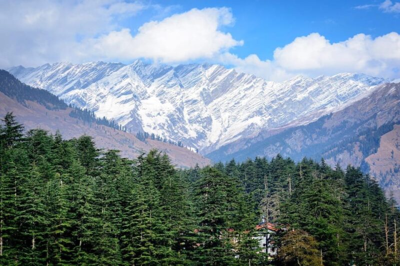 Manali: Full Day Driver Guide Tour - Experience and Insights