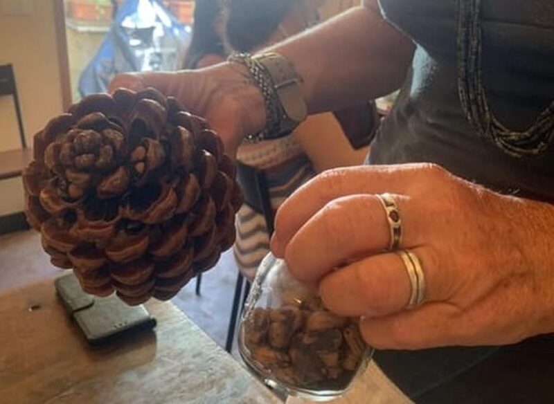 Manarola: Authentic Pesto Making Class at Cinque Terre - Detailed Breakdown of the Experience