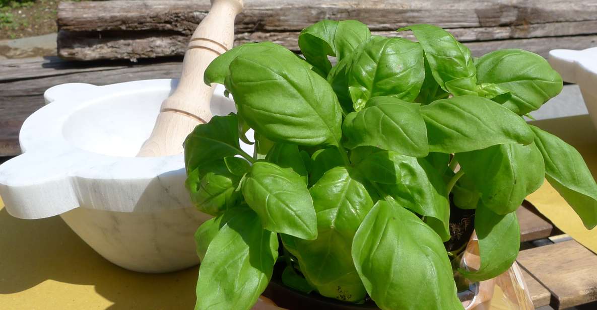 Manarola: Pesto Making Class With Tasting and Wine - Key Points