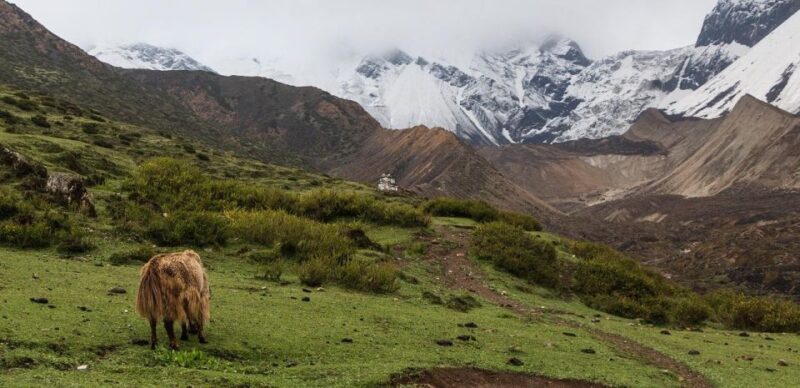 Manaslu Circuit Trek- Guide Service - Inclusions
