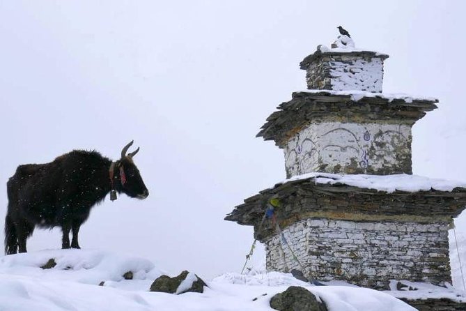 Manaslu Circuit Trekking - 17 Days - Accommodation Options