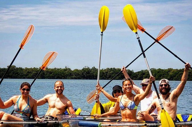 Manatee And Dolphin Tour - Final Thoughts