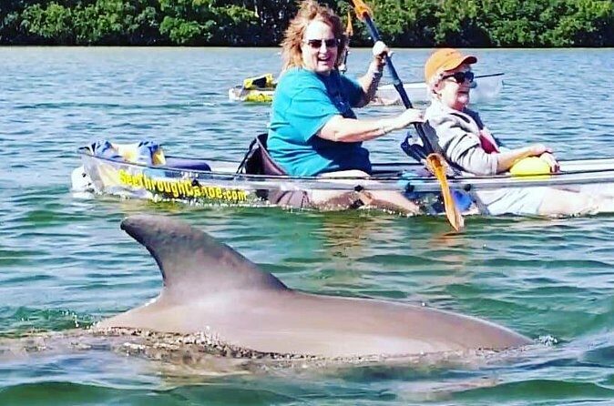 Manatee And Dolphin Tour - Frequently Asked Questions
