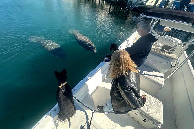 Manatee and Wildlife Boat Tour - Key Points