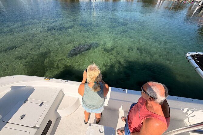 Manatee and Wildlife Boat Tour - Why This Tour Offers Real Value