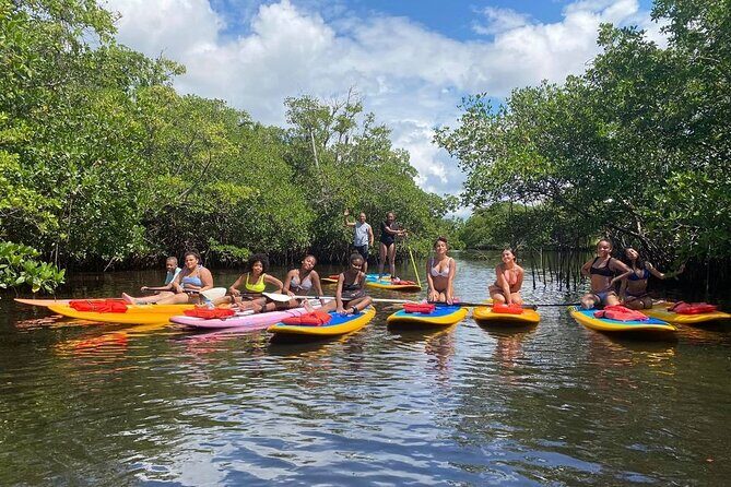 Manatee Encounter Guided Eco Kayak or Paddle Board Adventure - Key Points