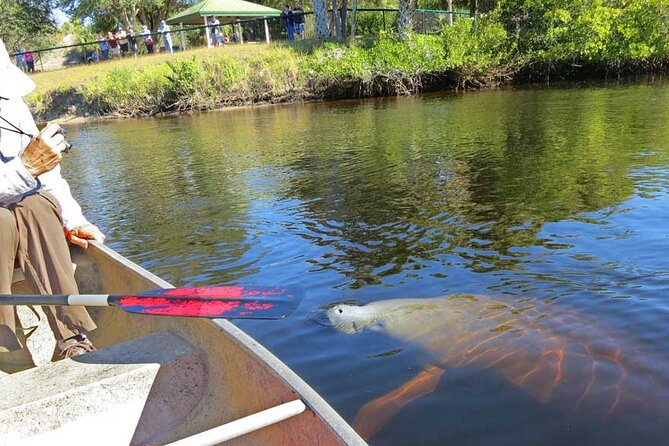 Manatee Kayak Encounter - Kayaking Equipment Provided
