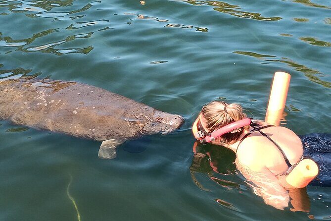 Manatee Magic Private 3 Hour Swim Heated Boat with Restroom - Discover the Magic of Manatees on a Private 3-Hour Tour in Crystal River