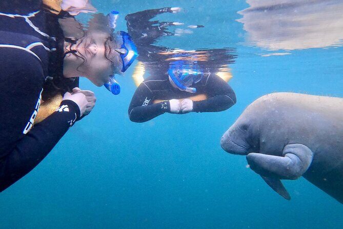 Manatee Magic Private 3 Hour Swim Heated Boat with Restroom - Key Points