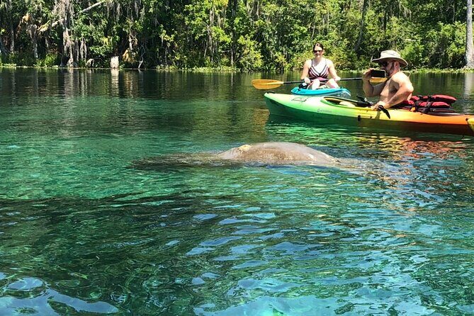 Manatee Springs Adventure Tour - Key Points  