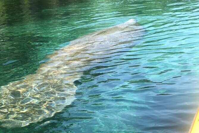 Manatee Springs Adventure Tour - Exploring the Itinerary in Detail