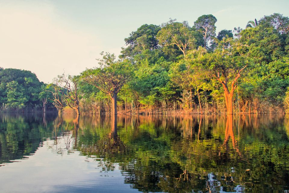 Manaus: Amazon Jungle Half-Day Walking Tour - Frequently Asked Questions