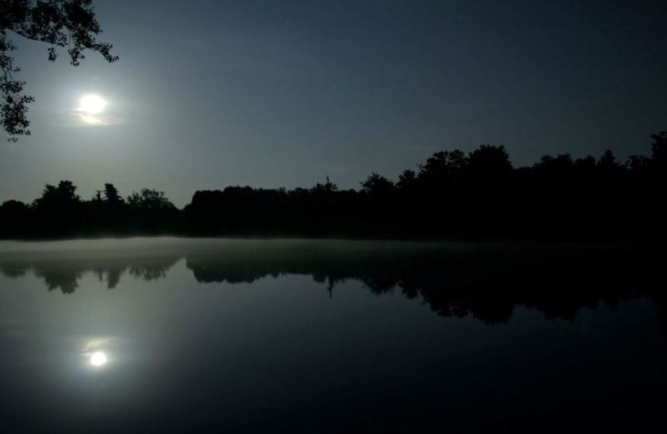 Manaus: Amazon Jungle Tour With Alligator Night Watch - Key Points