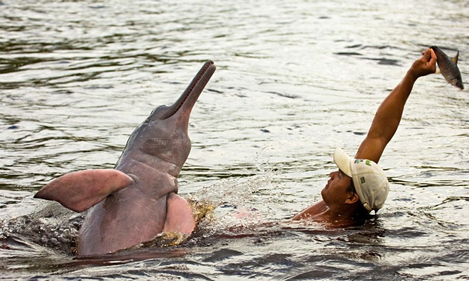 Manaus: Guided Amazon Dolphins Day Trip With Boat and Pickup - Journey to Lake Acajatuba