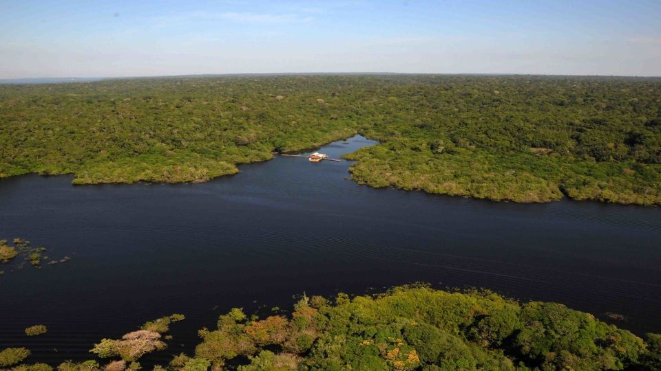 Manaus: Guided Amazon Dolphins Day Trip With Boat and Pickup - Interacting With Pink Dolphins