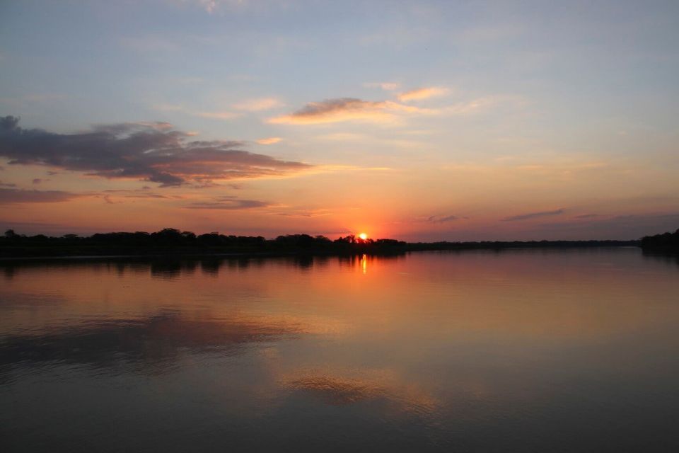 Manaus: Guided Amazon Dolphins Day Trip With Boat and Pickup - Tour Logistics and Details