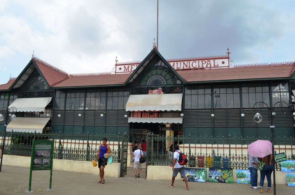 Manaus: Half-Day City Tour - Insights Into the Indian Museum