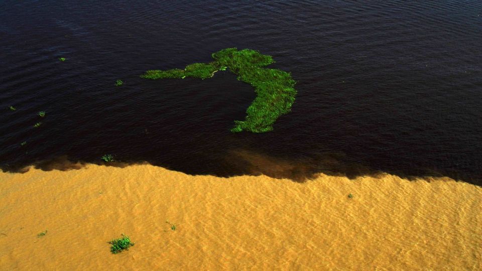Manaus: Meeting of the Waters & Pink Dolphin Tour With Lunch - Cultural Interactions