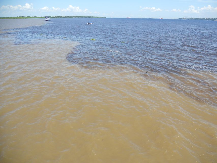 Manaus: Multi-Day Amazon Trip at Tapiri Floating Lodge - Itinerary Highlights