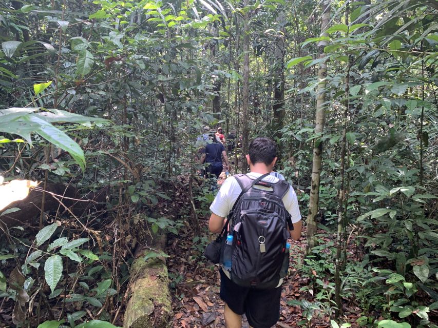 Manaus: Presidente Figueiredo Caves and Waterfalls Tour - What to Expect
