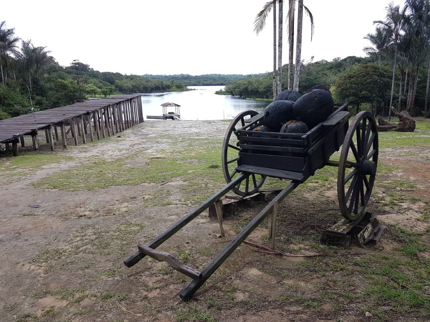 Manaus: Rubber Museum - Visitor Reviews and Feedback