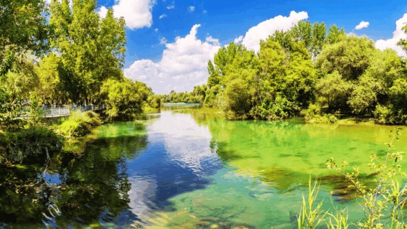 Manavgat River Cruise With Waterfall & Bazaar Tour - Key Points