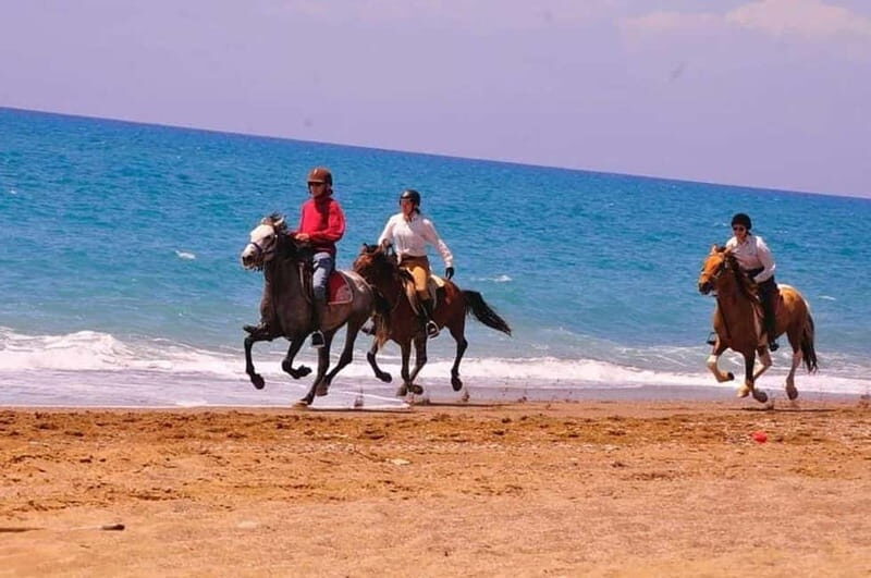 Manavgat Side: Horse Riding on the Beach and in the Forest - What the Guides Bring to the Table